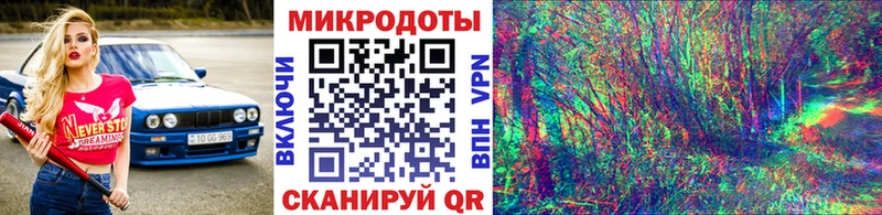 Галлюциногенные грибы Psilocybine cubensis  Междуреченск 